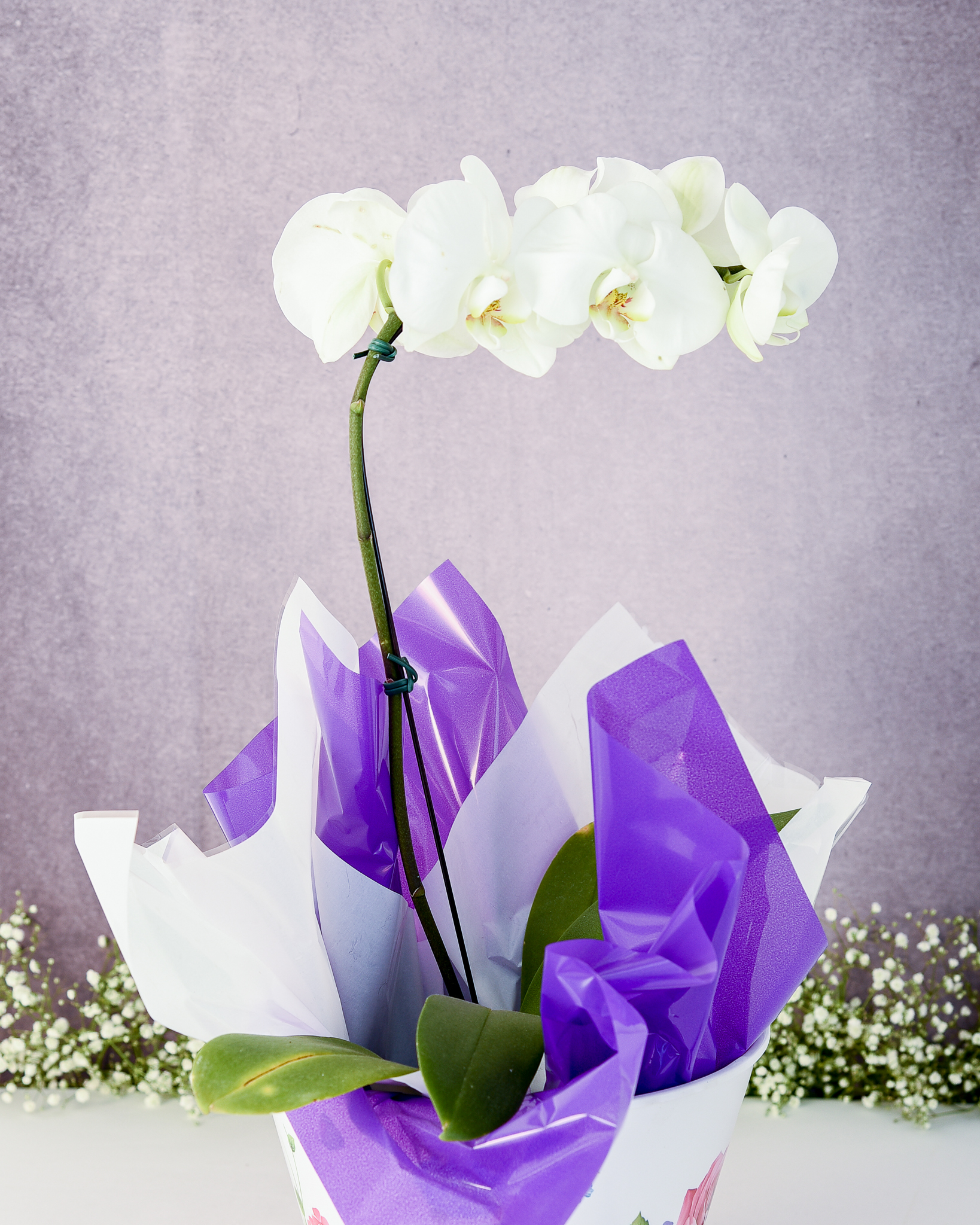 Elegância Branca - Image 3