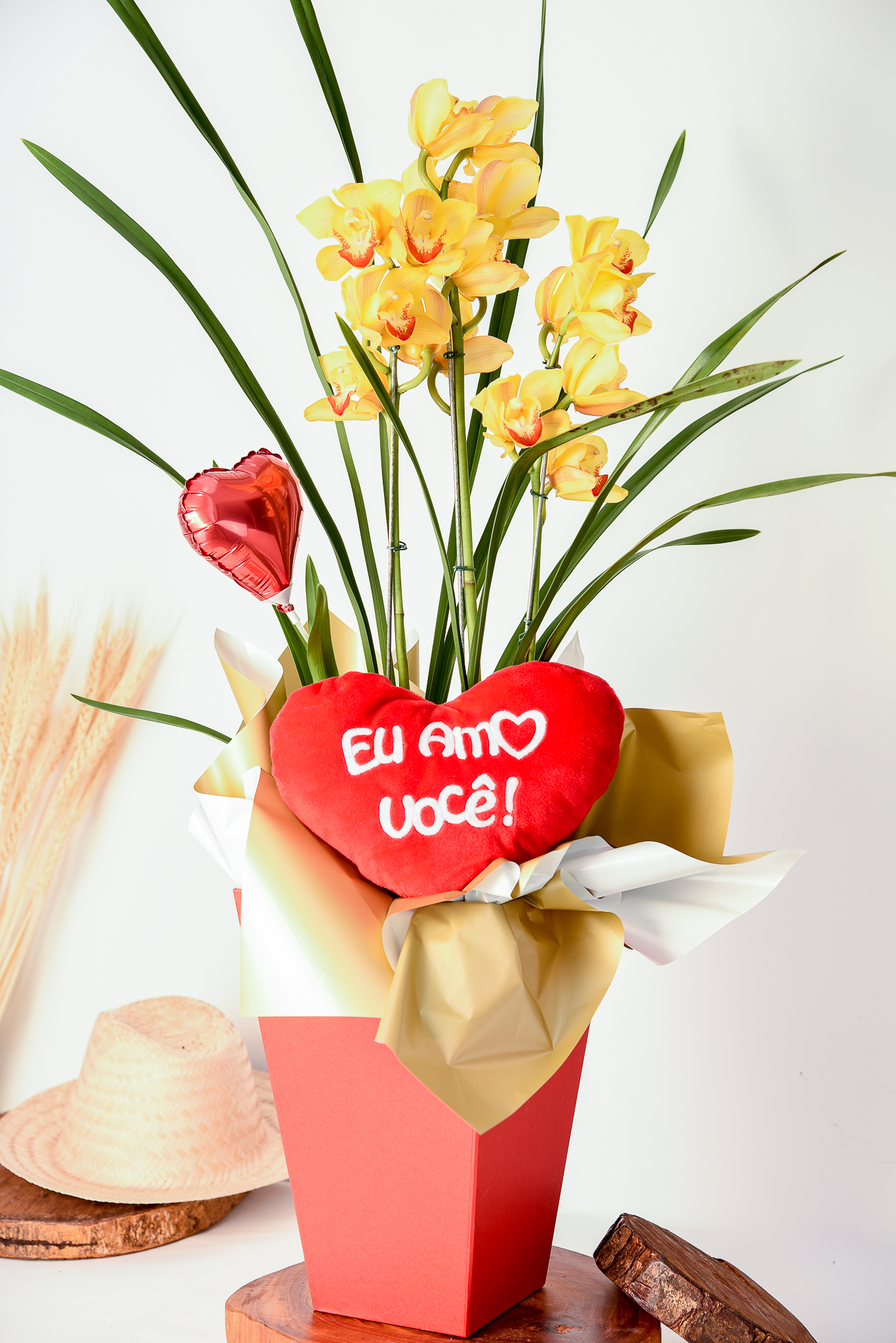 Orquídea Raio de Sol - Image 3